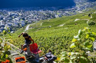 Les premiers états généraux de la viticulture valaisanne ont eu lieu ce lundi à Conthey. L'occasion de mettre autour de la table plusieurs professionnels de la branche (photo d'illustration). KEYSTONE/JEAN-CHRISTOPHE BOTT